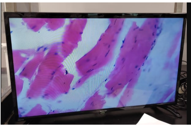 A2469C CW1  Principles of Histotechnology and Cytotechnology Assignment AY25 Sem 1