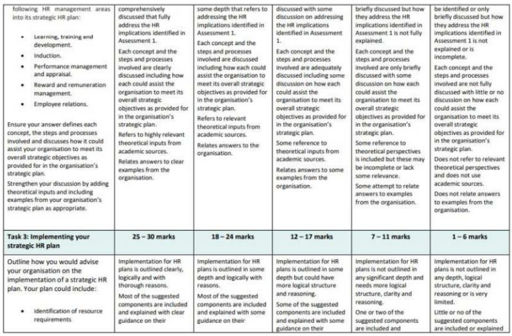 71333 Integrated Strategic Human Resource Assessment 2
