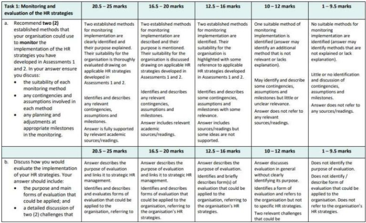 71333 Integrated Strategic Human Resource Assessment 3