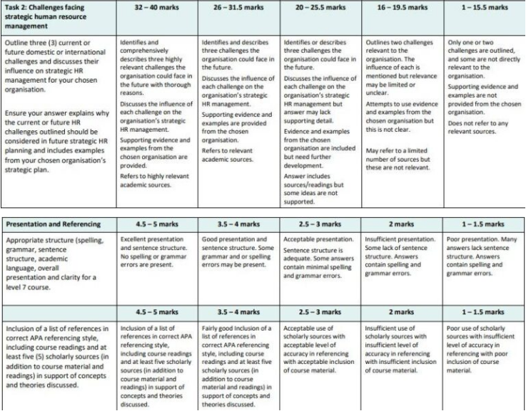 71333 Integrated Strategic Human Resource Assessment 3