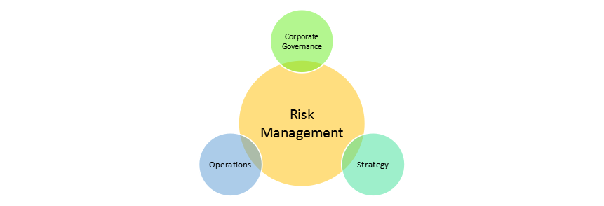 Risk Management Assignment