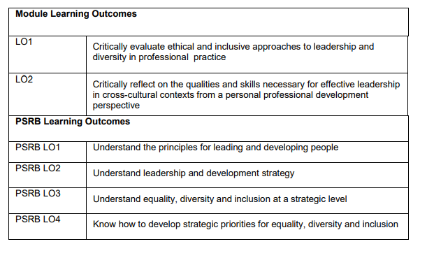 7049CRB : Leading Diverse Workforces CW
