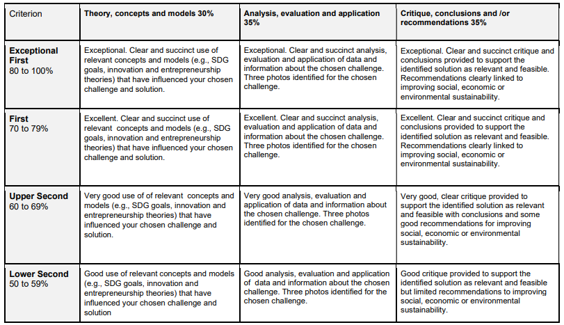 4005ICTE Entrepreneurial Thinking: Infographic Assignment Coventry University