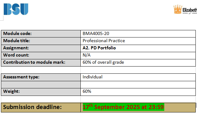 BMA4005-20 Assessment 2 Brief: PD Portfolio