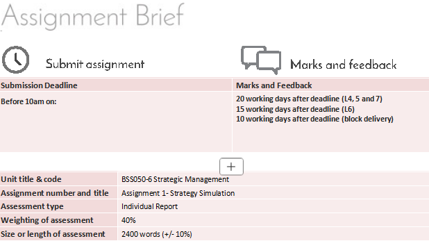 BSS050-6  Strategic Management Assignment 1 Brief