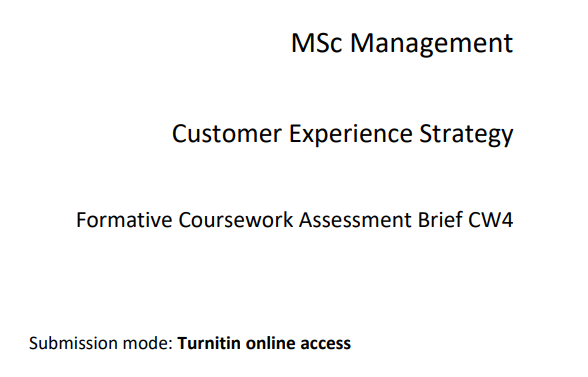 Customer Experience Strategy CW4 Formative Assessment Brief | BPP