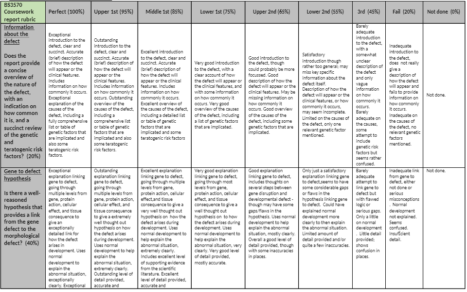 BS3570 Marking Criteria for this assignment