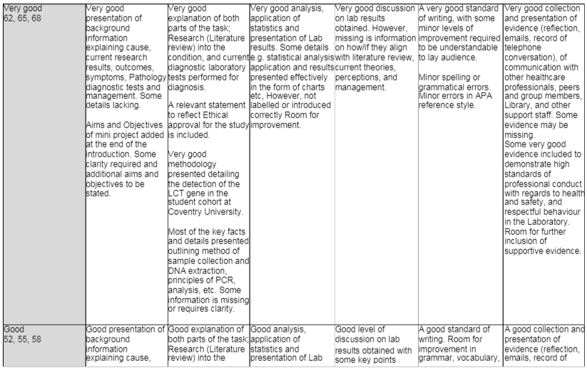 5039BMS Assessment Marking Criteria