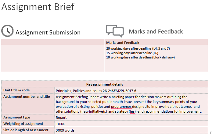PUB017-6 Principles, Policies and Issues Sem 2 Assignment 