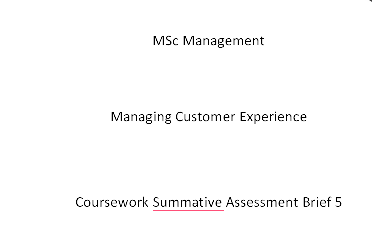 Managing Customer Experience CW5 Summative Assessment Brief