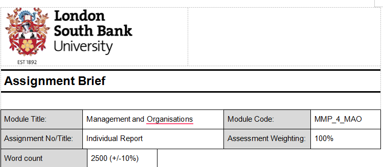 MMP_4_MAO Management and Organisations Assignment Brief
