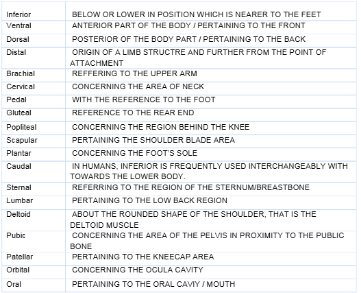 HLTAAP003 Analyse And Respond To Client Health Information Assessment Questions