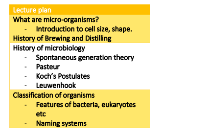 B99BM Course handbook 2025-26 PDF 