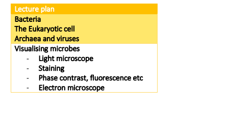 B99BM Course handbook 2025-26 PDF 