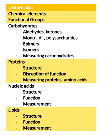 B99BM Course handbook 2025-26 PDF 