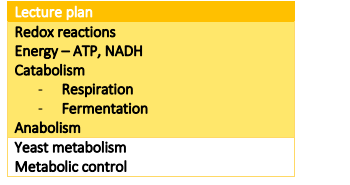 B99BM Course handbook 2025-26