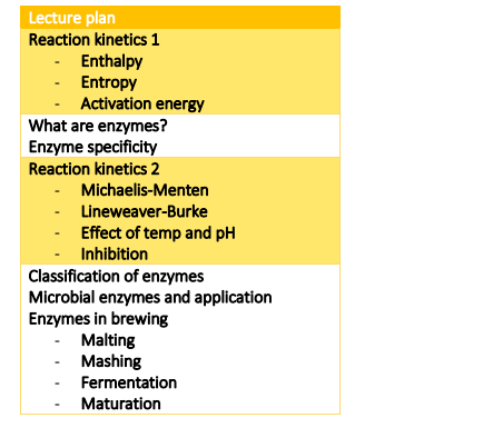 B99BM Course handbook 2025-26