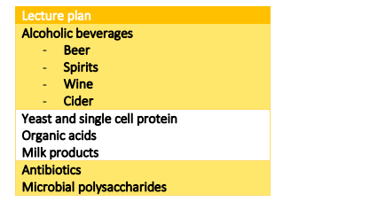 B99BM Course handbook 2025-26