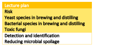 B99BM Course handbook 2025-26