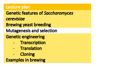 B99BM Course handbook 2025-26