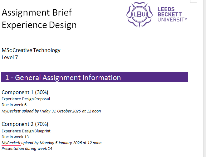 Level 7 Experience Design Assignment Brief