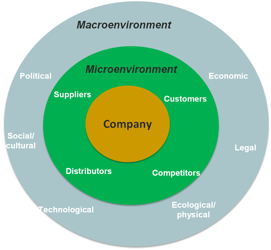 MKT11123 Marketing Strategy Assessment 1 Macroenvironment
