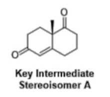 BPS319 PBL 3 Coursework