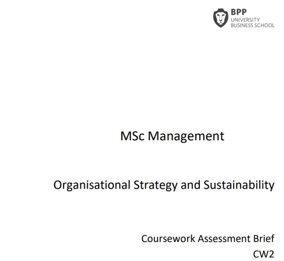 Organisational Strategy and Sustainability CW2 Assessment Brief