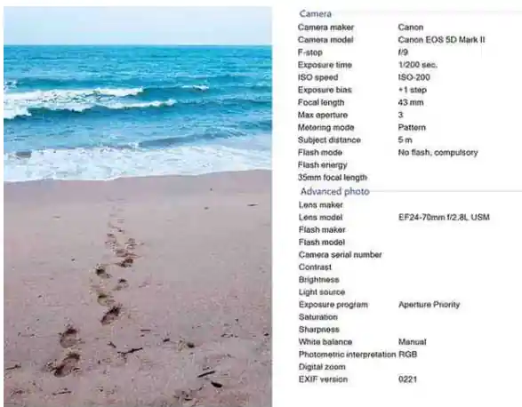 MTD115 Fundamentals Of Digital Photography Assignment.webp MTD115 Fundamentals Of Digital Photography