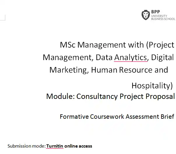 MSc Management Consultancy Project Proposal  Formative Assessment