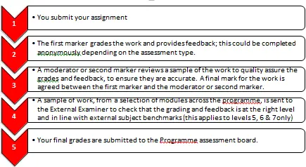 MGT4923 Module Handbook