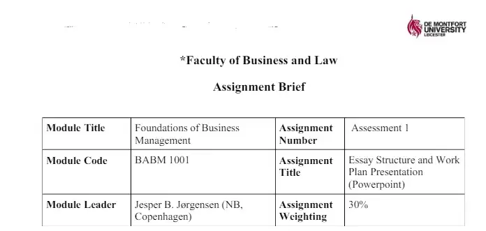 BABM1001 Foundations of Business Management Assignment Brief