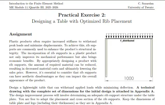 IFEM Practical II Assignment