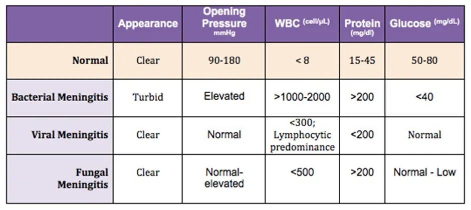 BMS5002 Infectious Diseases Assessment
