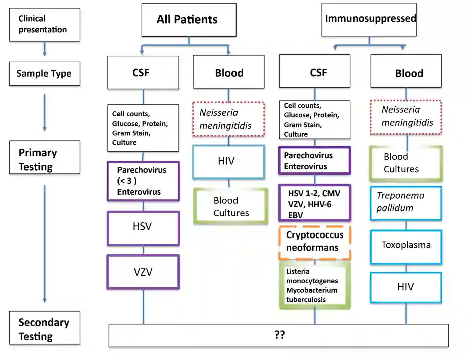 BMS5002 Assessment 2