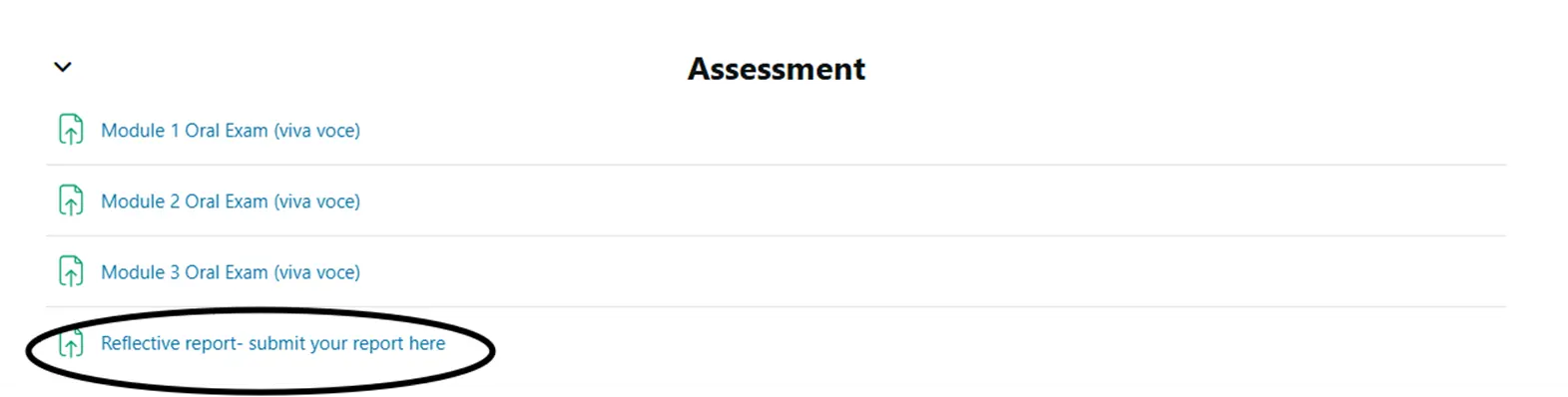 ANS600.webp ANS600 Exam