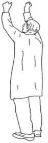 HFS206 Sep 2013 Question Paper.webp