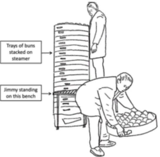 HFS206 Occupational Biomechanics.webp