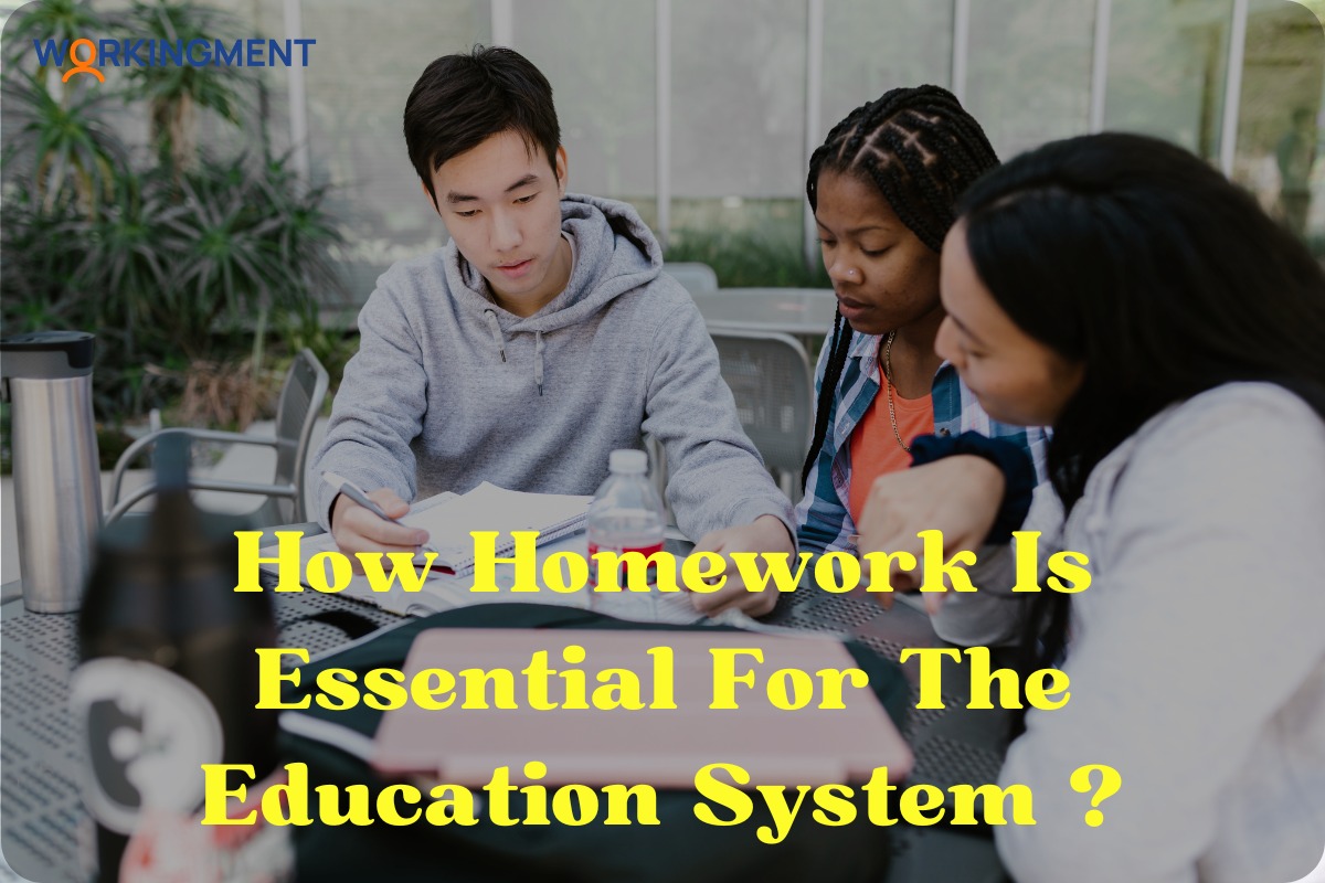 Homework is Essential for the Education 