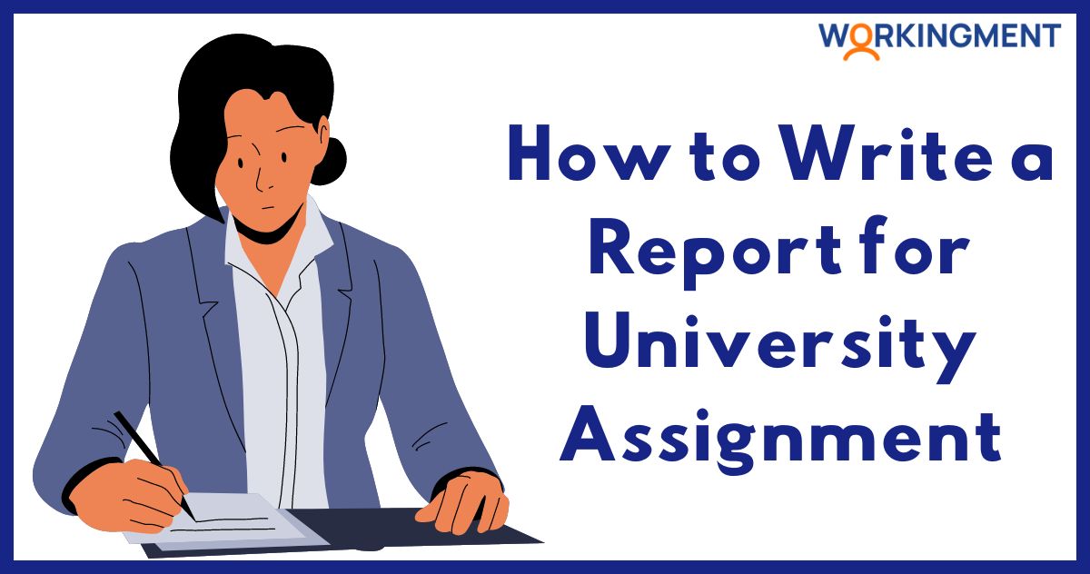 How to Write a University Report Assignment
