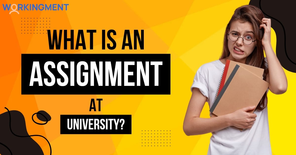 What is an Assignment at University