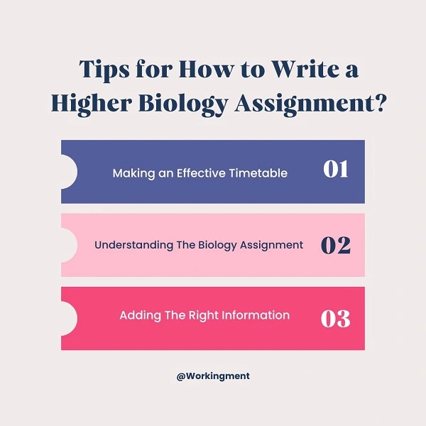 How to write a higher biology assignment