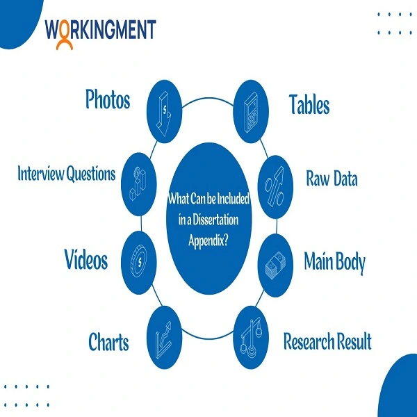 appendix in a dissertation 