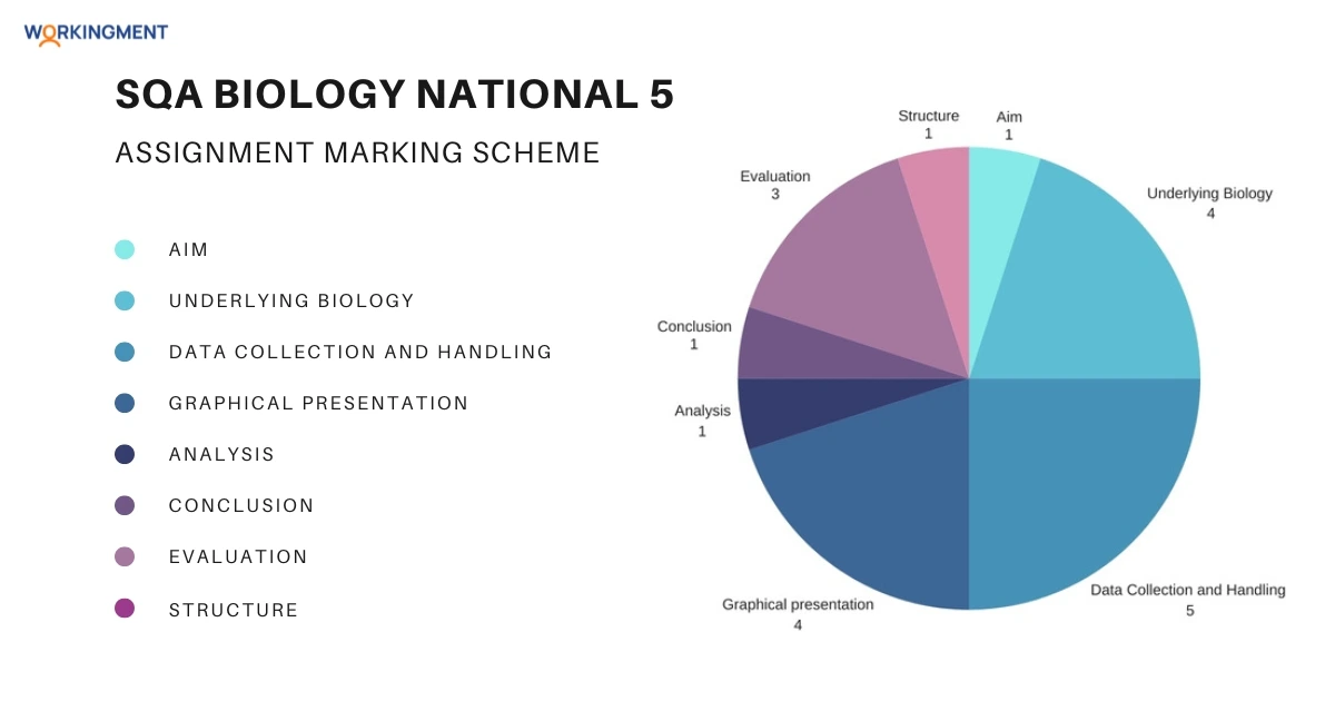 SQA Biology National 5 Assignment Marking Schemeâ€‹