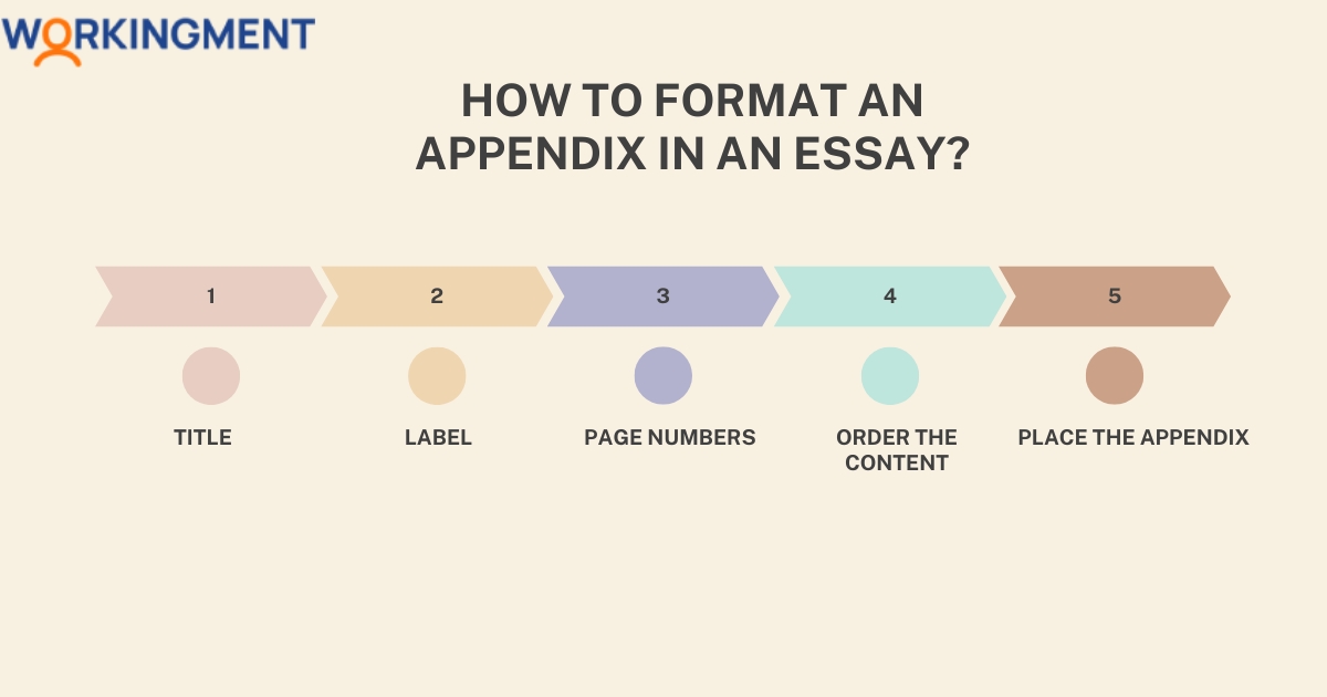 How to Format an Appendix in an Essay