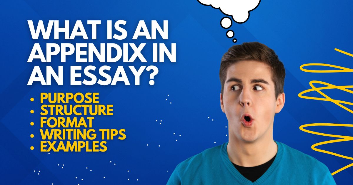 What Is An Appendix In An Essay Structure Format Examples