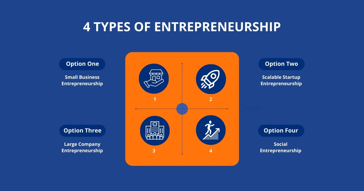 What are the 4 Types of Entrepreneurship?