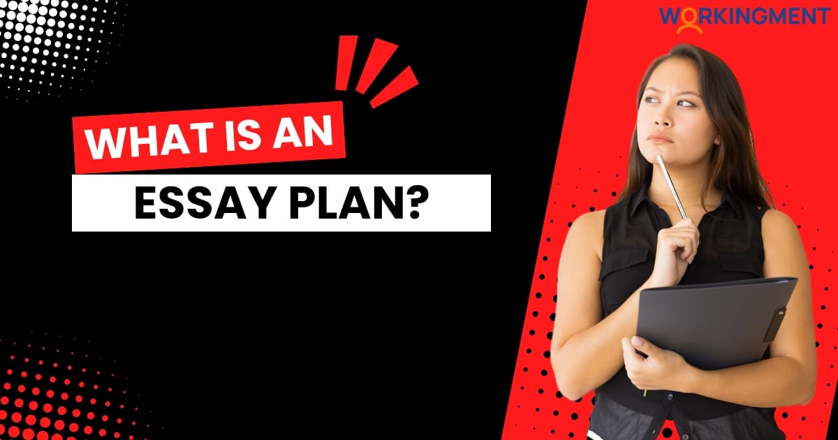 What is an Essay Plan- Complete Guide 