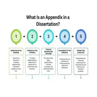 What Is an Appendix in a Dissertation
