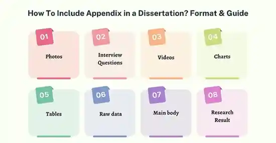 What can be included in a Dissertation Appendix?
